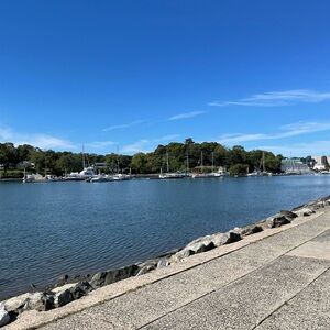 Meet your Posher, Leila